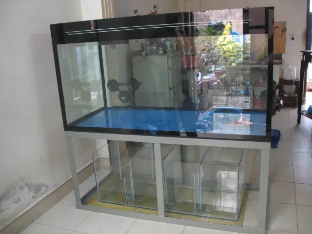 Giá Hồ Kiếng Nuôi Cá: Bảng Giá & Kinh Nghiệm Chọn Mua Chi Tiết Nhất