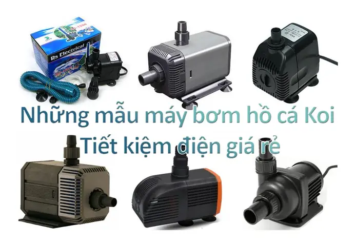 Bảng Giá Máy Bơm Chìm Bể Cá Mới Nhất 2025: Tiêu Chí Lựa Chọn & Ứng Dụng