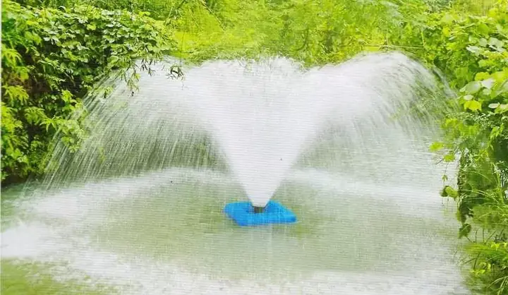 Máy Bơm Tạo Oxy Ao Cá Có Đặc Điểm Gì? Máy Bơm Tạo Oxy Ao Cá Có Đặc Điểm Gì?