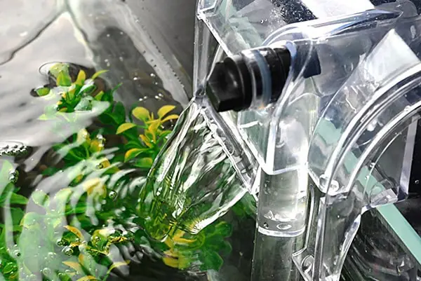 Cách Sử Dụng Và Bảo Dưỡng Máy Lọc Nước Hồ Cá Koi