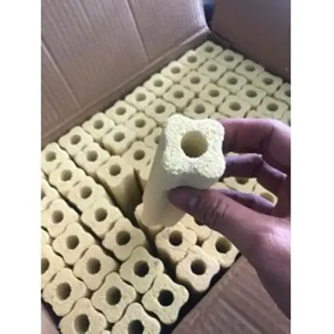 Sứ Thanh Hoa Mai Vàng