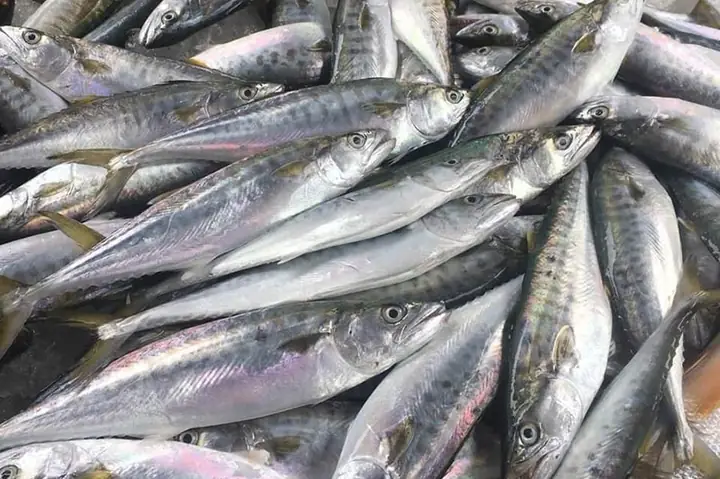 Ngăn Ngừa Tình Trạng Thiếu Máu Ngăn Ngừa Tình Trạng Thiếu Máu