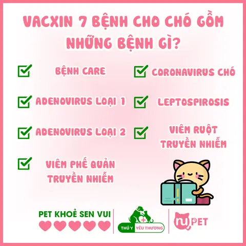 Vacxin 7 Bệnh Cho Chó Gồm Những Bệnh Gì?
