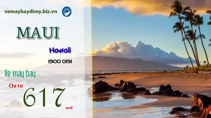 Giá Vé Công Viên Cá Koi: Bảng Giá Chi Tiết, Kinh Nghiệm Tham Quan Và Lợi Ích Giáo Dục