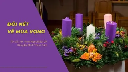 Giáo Án Tìm Hiểu Về Nghề Đánh Bắt Cá: Hành Trình Từ Đại Dương Đến Mâm Cơm Giáo Án Tìm Hiểu Về Nghề Đánh Bắt Cá: Hành Trình Từ Đại Dương Đến Mâm Cơm