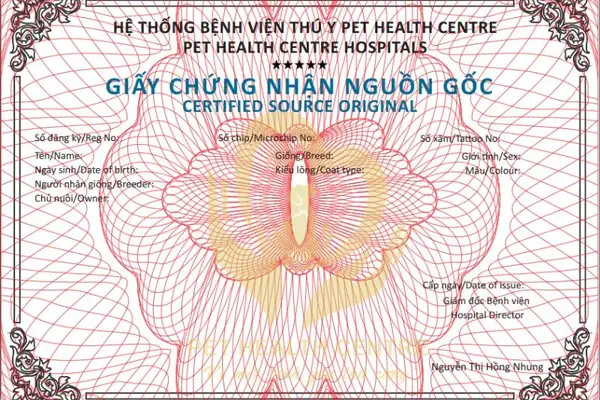 Làm Giấy Vka Cho Chó Ở Đâu?