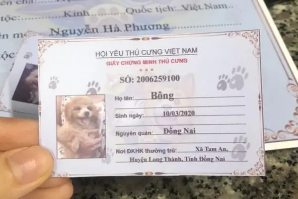 Có Cần Đăng Ký Giấy Khai Sinh Cho Chó Mèo Không?