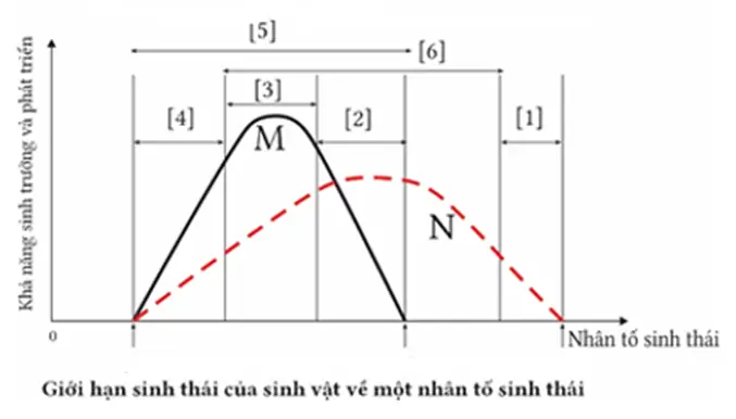 Hình Vẽ Mô Tả Giới Hạn Sinh Thái Của 2 Loài Sinh Vật Về Một Nhân Tố Sinh Thái (độ Ph Tăng Dần Từ Trái Sang Phải). Có Bao Nhiêu Nhận Định Sau Đây Đúng? (ảnh 1)