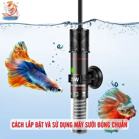 Lỗi Thường Gặp Và Cách Khắc Phục