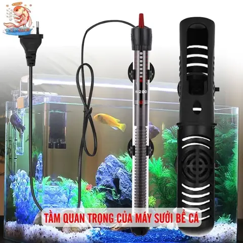 Nguy Cơ Khi Không Có Máy Sưởi