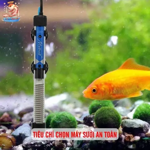 Thương Hiệu Uy Tín