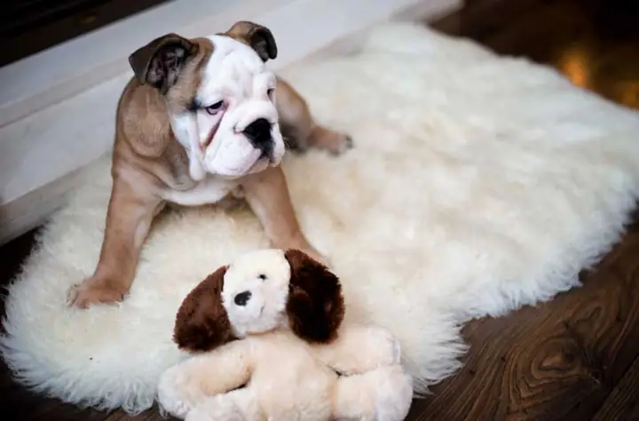 Tác Động Vật Lý