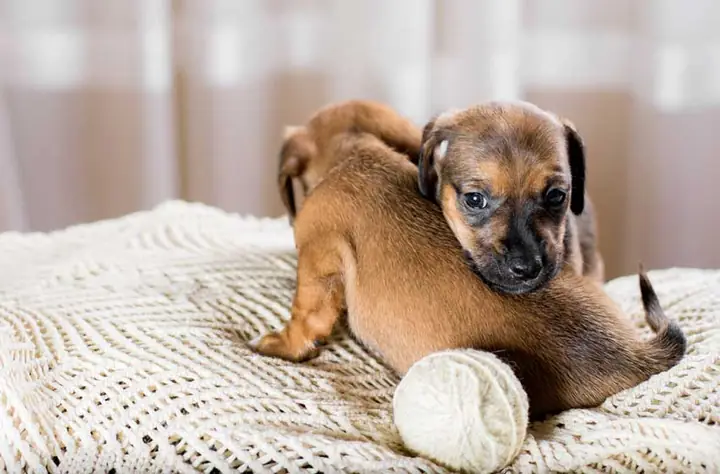 Chế Độ Chăm Sóc Trong Quá Trình Điều Trị