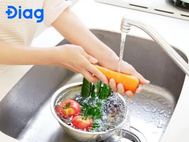 Phòng Ngừa Lây Nhiễm Sán Chó Như Thế Nào? Phòng Ngừa Lây Nhiễm Sán Chó Như Thế Nào?