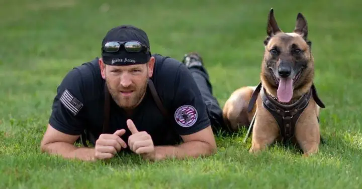 Gửi Chó Đi Huấn Luyện: Cẩm Nang Toàn Diện Từ A Đến Z Cho Chủ Nuôi Thông Thái Gửi Chó Đi Huấn Luyện: Cẩm Nang Toàn Diện Từ A Đến Z Cho Chủ Nuôi Thông Thái