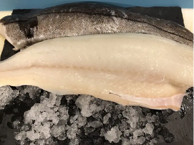 Haddock Là Cá Gì? Những Điều Thú Vị Về Loài Cá Được Yêu Thích Trong Ẩm Thực
