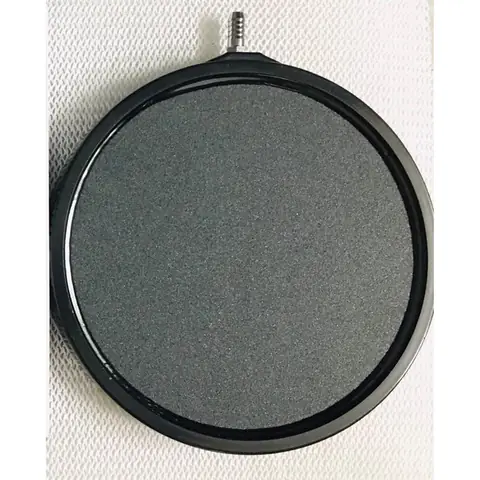 Hải Tùng Cá Cảnh