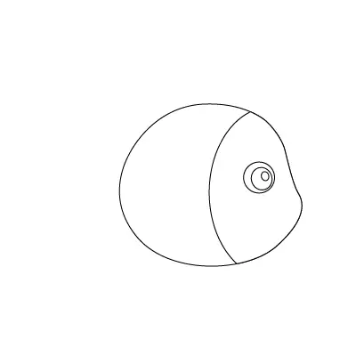 Hai Vây Xinh Xinh Cá Vàng Bơi Trong Biển