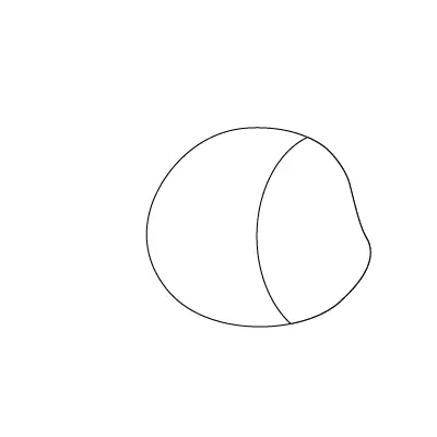 Hai Vây Xinh Xinh Cá Vàng Bơi Trong Biển