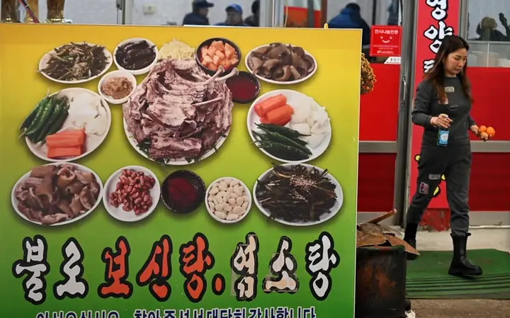 Hàn Quốc Lại Tranh Cãi Về Việc Ăn Thịt Chó