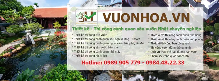 Chỉ Cần Một Chút Chấm Phá Tinh Tế Sân Vườn Nhà Bạn Sẽ Được Nâng Lên Một Tầm Cao Mới