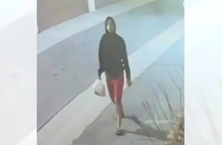 Hướng Dẫn Chi Tiết Về Hàng Rào Quây Cho Chó: Cách Lựa Chọn, Thiết Lập Và Sử Dụng An Toàn