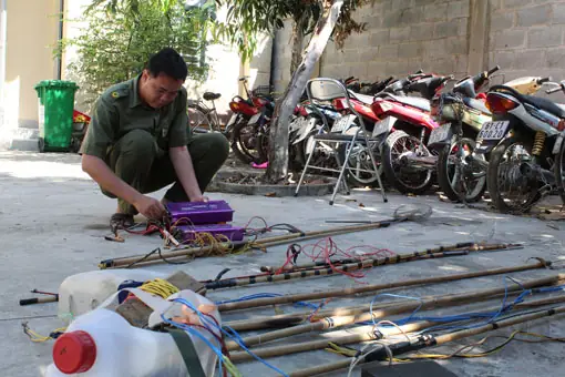 Hành Vi Sử Dụng Kích Điện Để Kích Cá