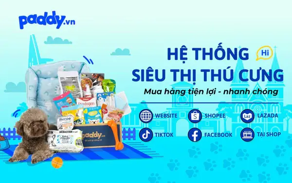 Điểm Bán Hạt Zenith Cho Chó Poodle Chính Hãng