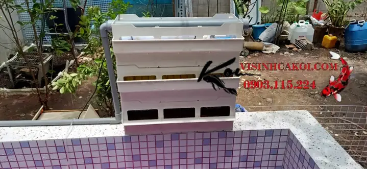 Hệ Thống Lọc Baki Hồ Cá Koi Hệ Thống Lọc Baki Hồ Cá Koi