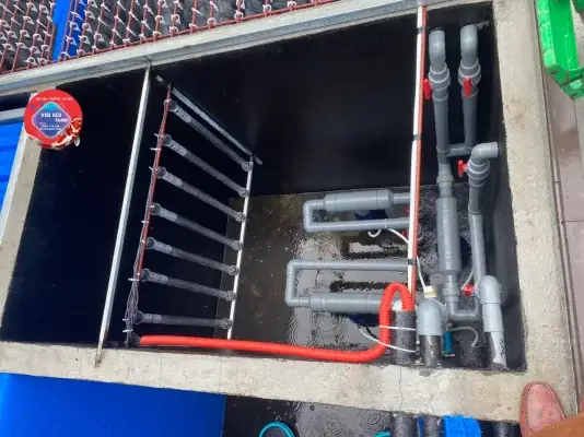 Vật Liệu Lọc Thiết Yếu Cho Hệ Thống Lọc Hồ Koi Ngoài Trời