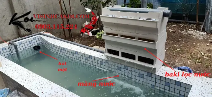 Hệ Thống Lọc Baki Hồ Cá Koi