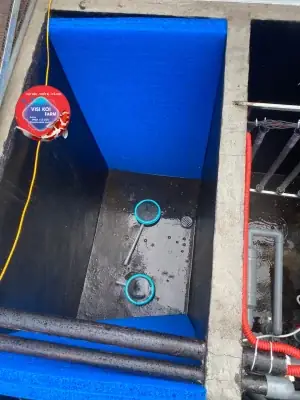 Vật Liệu Lọc Thiết Yếu Cho Hệ Thống Lọc Hồ Koi Ngoài Trời