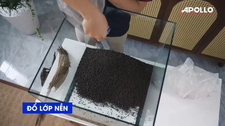 Bước 2: Chuẩn Bị Lớp Nền Bước 2: Chuẩn Bị Lớp Nền