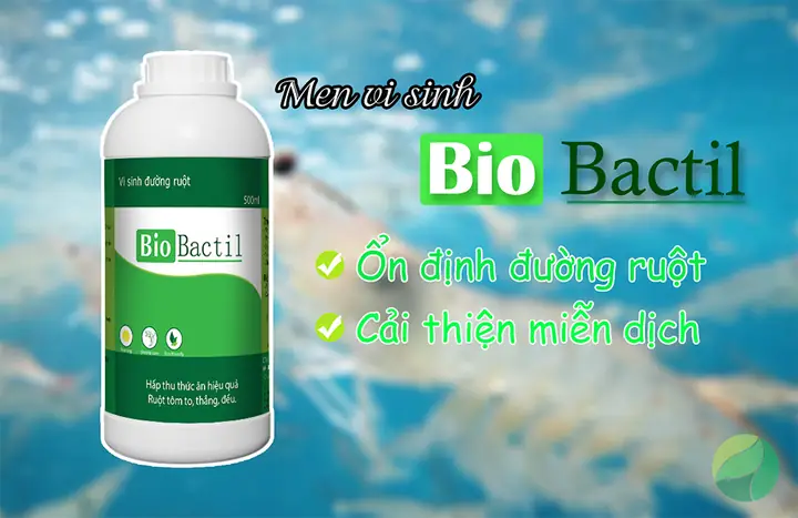 Các Chất Xúc Tác Quá Trình Tiêu Hóa