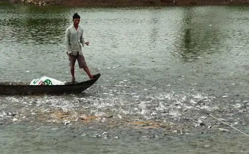 Cần Biết - Hiện Nay Ở Nhiều Vùng Trên Cả Nước Trời Nắng Nóng Cộng Thêm Thời Tiết Biến Đổi Nhanh, Mưa Giông Thất Thường Làm Cho Môi Trường Nước Nuôi Thủy Sản Cũng Bị Ảnh Hưởng. Cần Biết - Hiện Nay Ở Nhiều Vùng Trên Cả Nước Trời Nắng Nóng Cộng Thêm Thời Tiết Biến Đổi Nhanh, Mưa Giông Thất Thường Làm Cho Môi Trường Nước Nuôi Thủy Sản Cũng Bị Ảnh Hưởng.