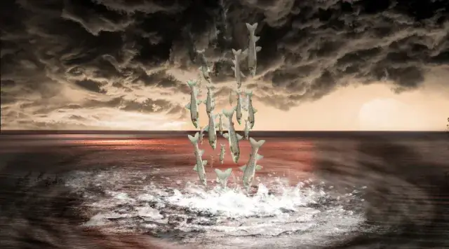 Hiện Tượng “mưa Cá” Tự Nhiên Kỳ Thú Nhất Thế Giới: Lluvia De Peces.