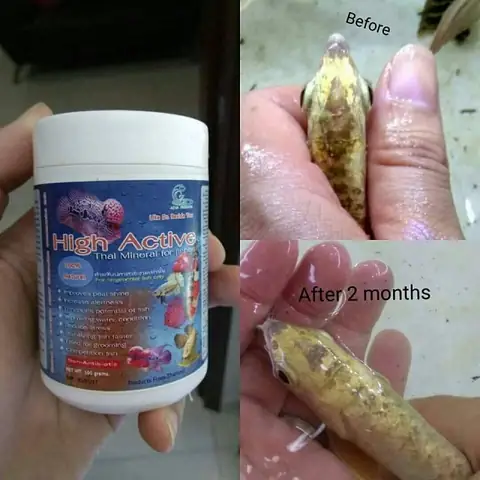 Những Tác Dụng Nổi Trội Của Khoáng Chất Thiết Yếu Chocá Rồnghigh Active