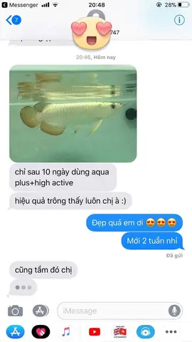 Những Tác Dụng Nổi Trội Của Khoáng Chất Thiết Yếu Chocá Rồnghigh Active