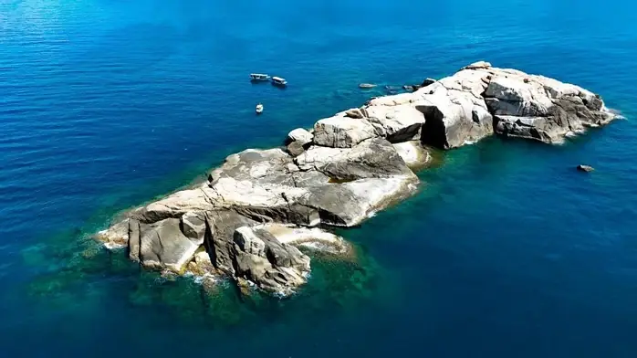 Cơ Quan Chức Năng Nói Gì?