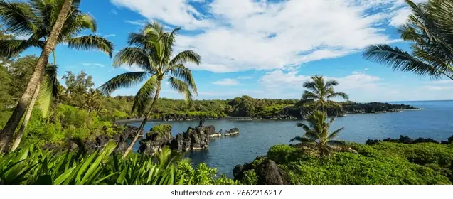 Hình Ảnh Cá Bống Vân Mây: Khám Phá Chi Tiết Về Loài Cá Độc Đáo