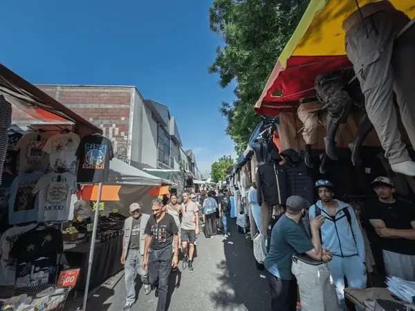 Hình Ảnh Cá Chét: Đặc Điểm, Ý Nghĩa Và Những Điều Cần Biết