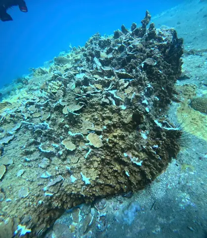 Cơ Quan Chức Năng Nói Gì?