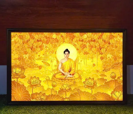 Hình Ảnh Cá Chi Chi: Đặc Điểm, Nhận Diện Và Phong Cách Sống