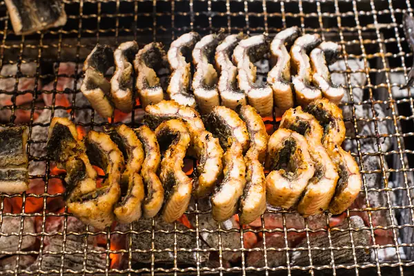 Cá Chình Biển Làm Gì Ngon?