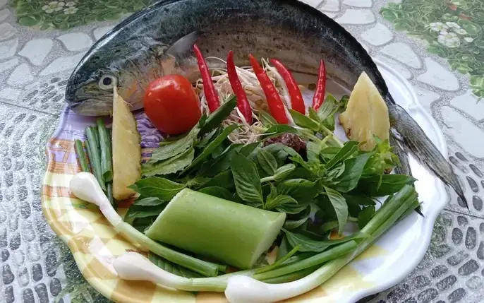 Hình Ảnh Cá Dũa: Khám Phá Thế Giới Đa Dạng Của Những "công ...