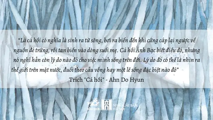 Hình Ảnh Cá Hồi Vượt Thác