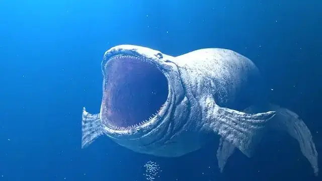 Thay Nước Thay Nước