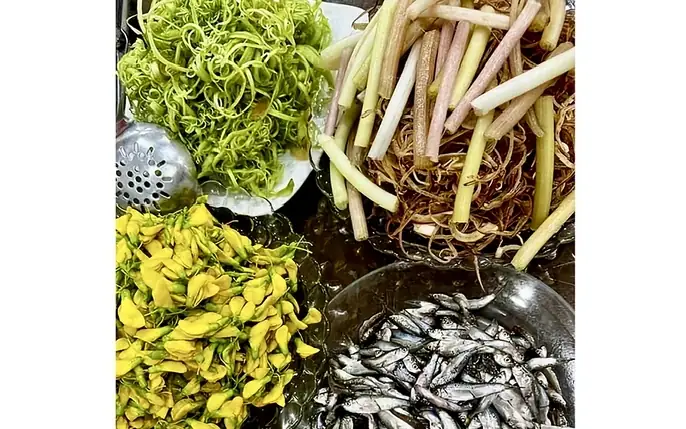 Hình Ảnh Cá Linh Bông Điên Điển: Bí Mật Về Loài Cá Di Cư Huyền Thoại Của Đồng Bằng Sông Cửu Long