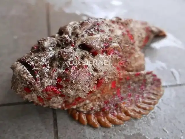 Hình Ảnh Cho Hình Ảnh Cá Mặt Quỷ: