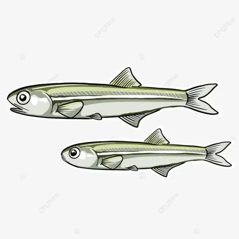 Hình Ảnh Cá Mương: Khám Phá Vẻ Đẹp Đa Dạng Và Ý Nghĩa Trong Đời Sống